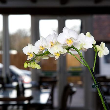 The Maple Manor Hotel Crawley  Buitenkant foto