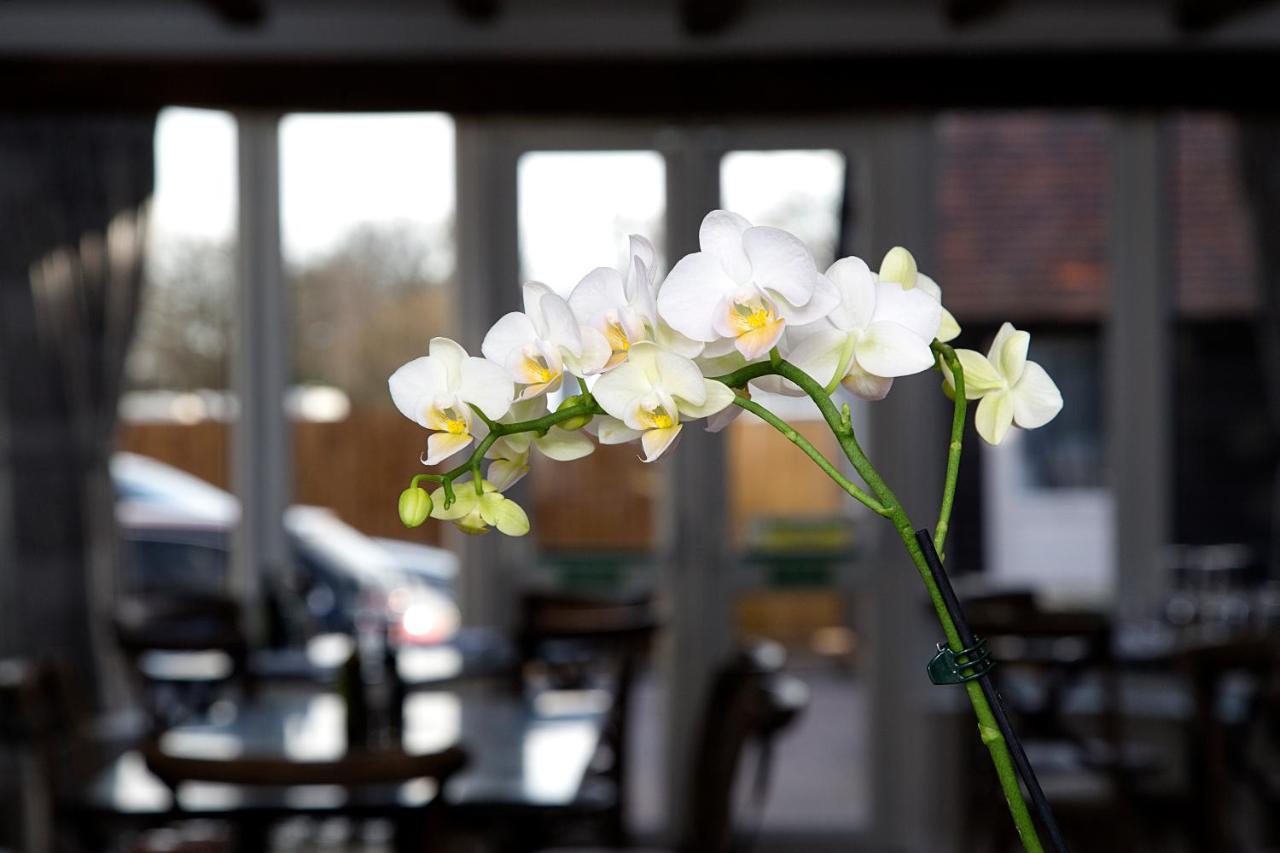 The Maple Manor Hotel Crawley  Buitenkant foto